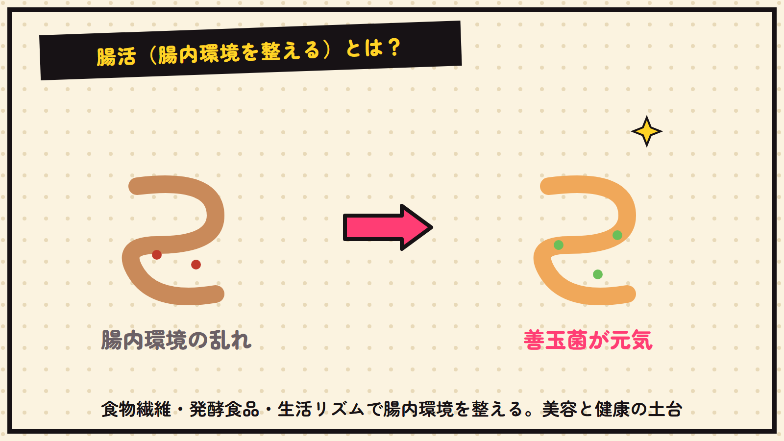 腸活の図解